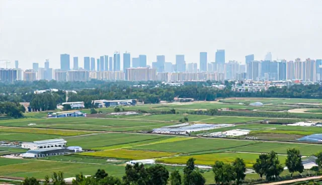 高效企业名录查询在采购需求中的实际应用