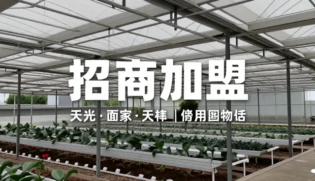 武汉高端网站建设,数据管理如何驱动业务拓展